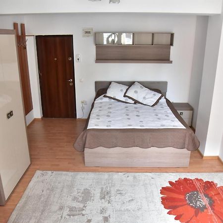 Apartament Frunzei Sibiu Buitenkant foto